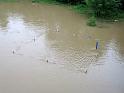 Hochwasser (55)